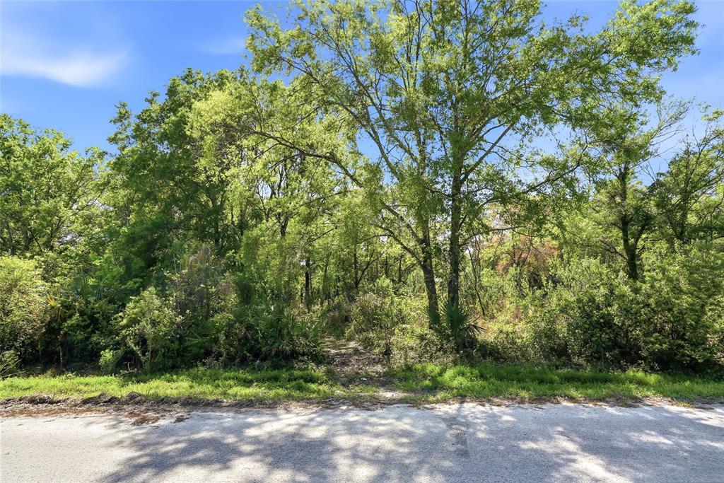 100 Fern Street New Port Richey, FL 34654 - Photo 2 of 32