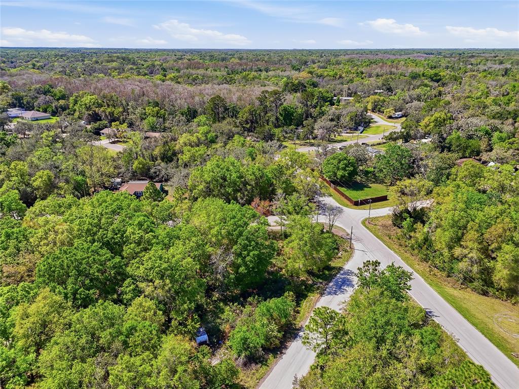 100 Fern Street New Port Richey, FL 34654 - Photo 22 of 32