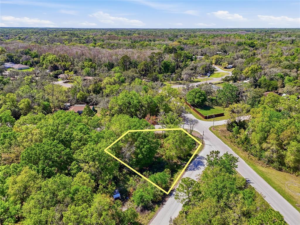 100 Fern Street New Port Richey, FL 34654 - Photo 23 of 32