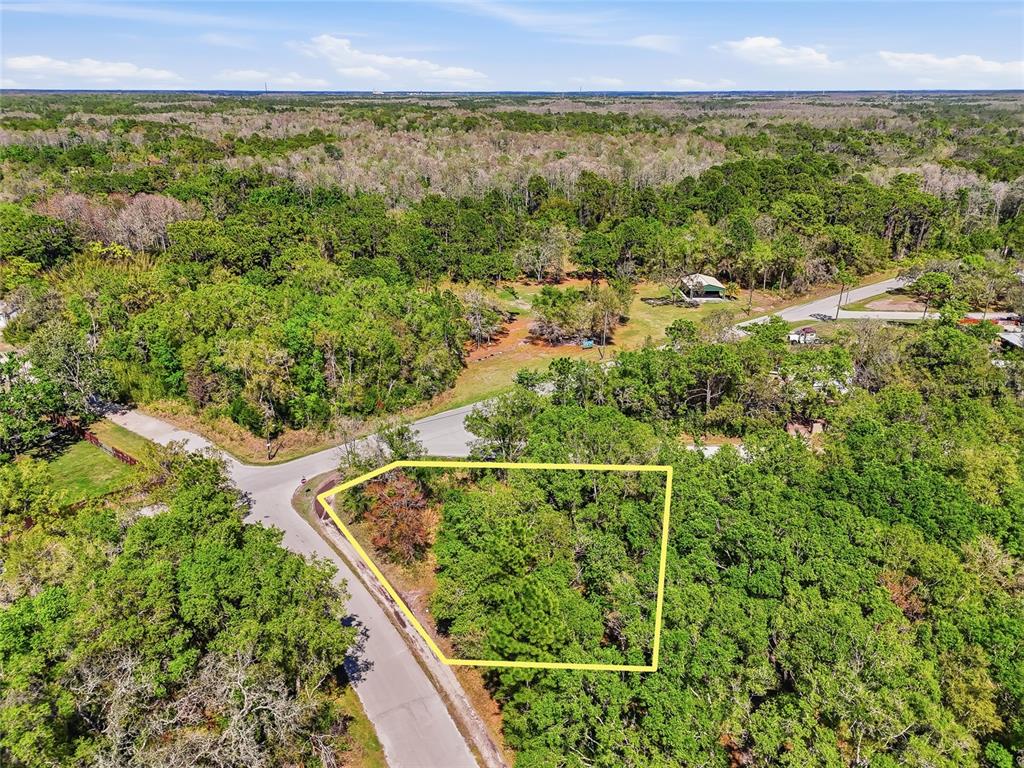 100 Fern Street New Port Richey, FL 34654 - Photo 25 of 32