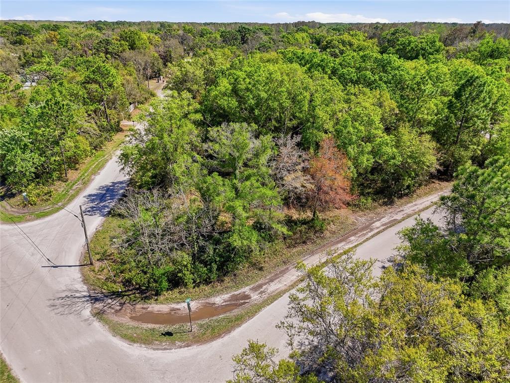 100 Fern Street New Port Richey, FL 34654 - Photo 29 of 32