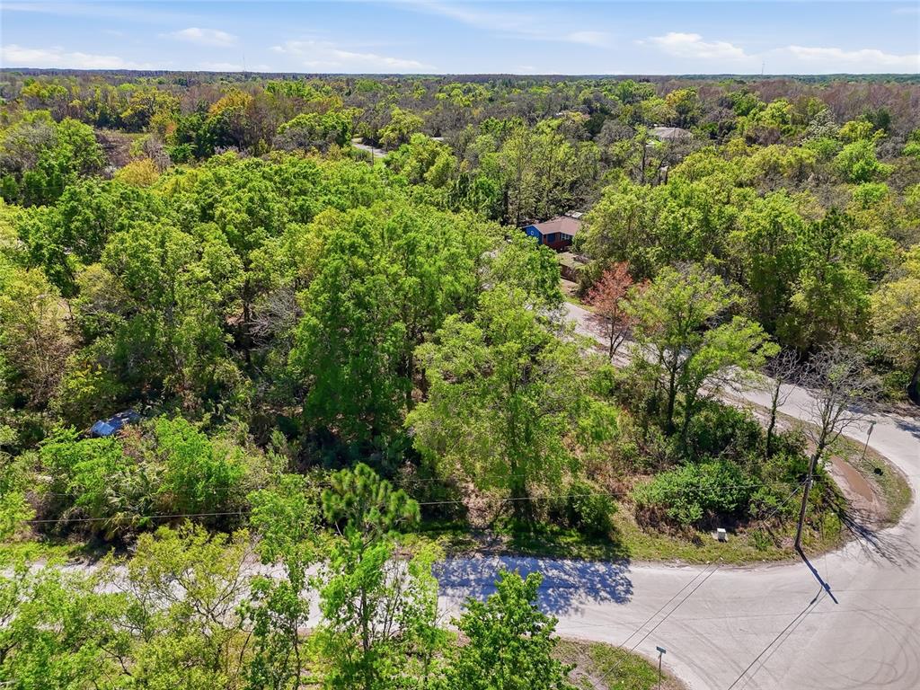 100 Fern Street New Port Richey, FL 34654 - Photo 30 of 32