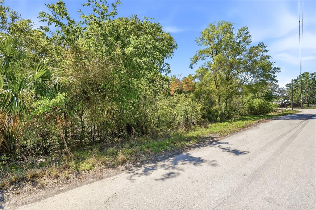 100 Fern Street New Port Richey, FL 34654 - Photo 3 of 32