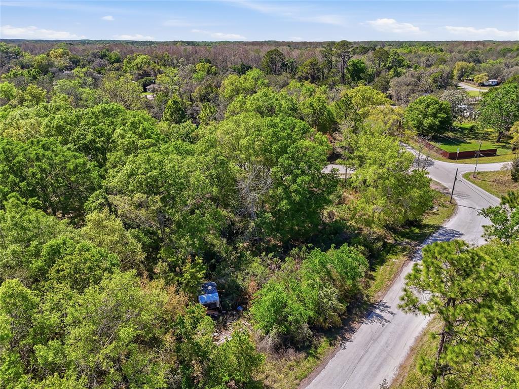 100 Fern Street New Port Richey, FL 34654 - Photo 31 of 32