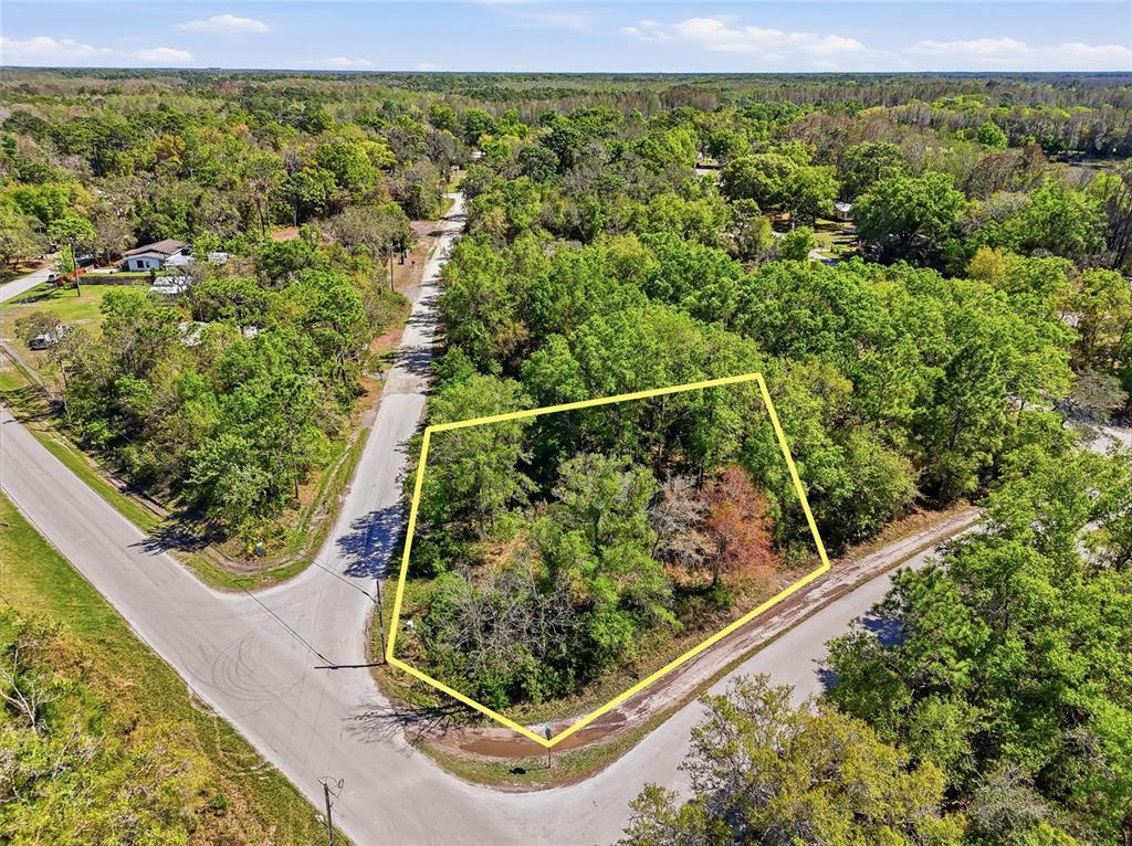 100 Fern Street New Port Richey, FL 34654 - Photo 32 of 32