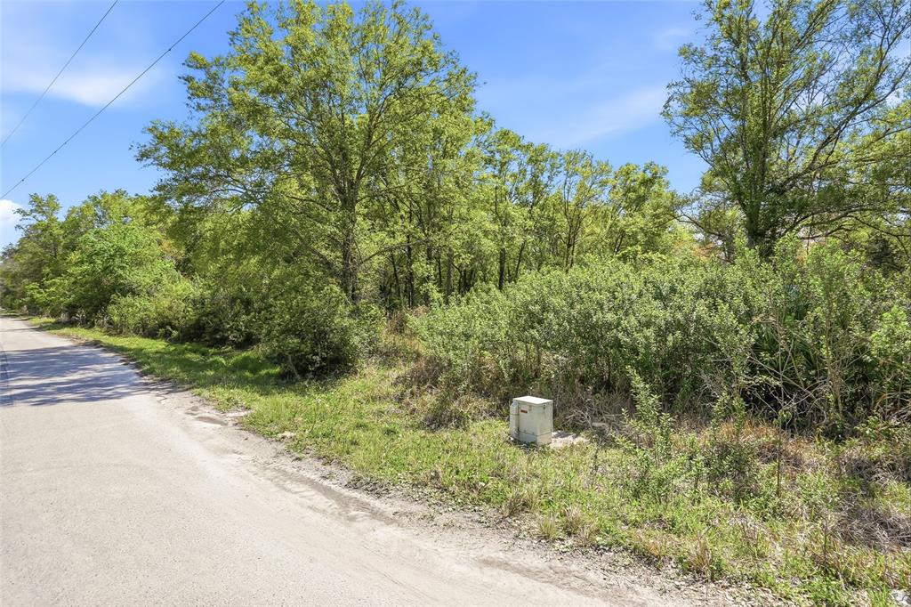 100 Fern Street New Port Richey, FL 34654 - Photo 4 of 32