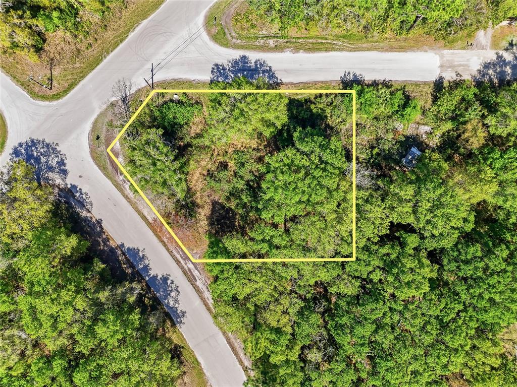 100 Fern Street New Port Richey, FL 34654 - Photo 5 of 32