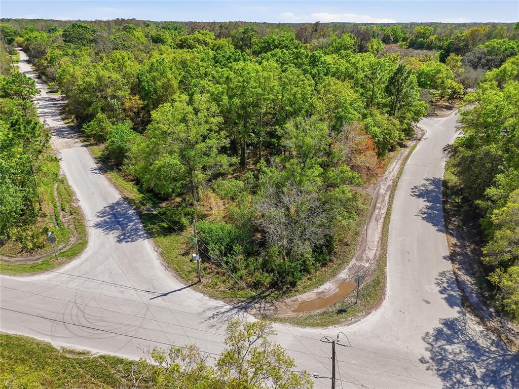 100 Fern Street New Port Richey, FL 34654 - Photo 6 of 32