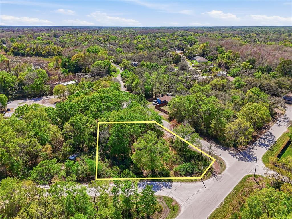 100 Fern Street New Port Richey, FL 34654 - Photo 7 of 32