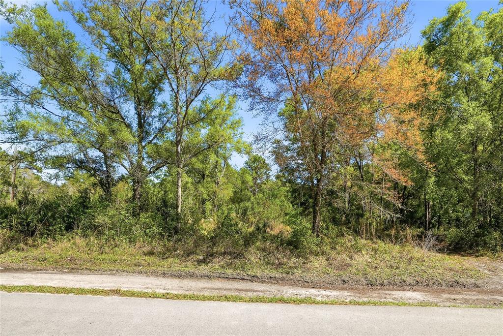 100 Fern Street New Port Richey, FL 34654 - Photo 8 of 32