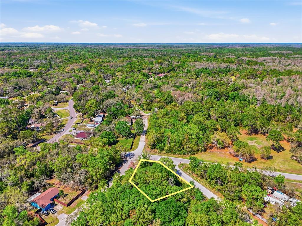 100 Fern Street New Port Richey, FL 34654 - Photo 9 of 32