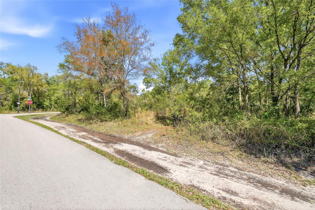 100 Fern Street New Port Richey, FL 34654 - Photo 10 of 32