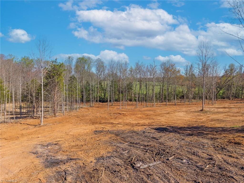 0 Sprouse Road Boonville, NC 27011 - Photo 13 of 24