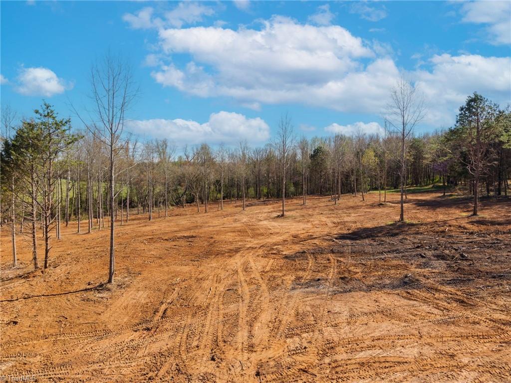 0 Sprouse Road Boonville, NC 27011 - Photo 14 of 24