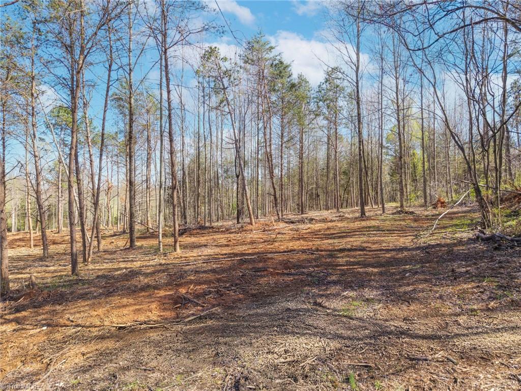 0 Sprouse Road Boonville, NC 27011 - Photo 22 of 24