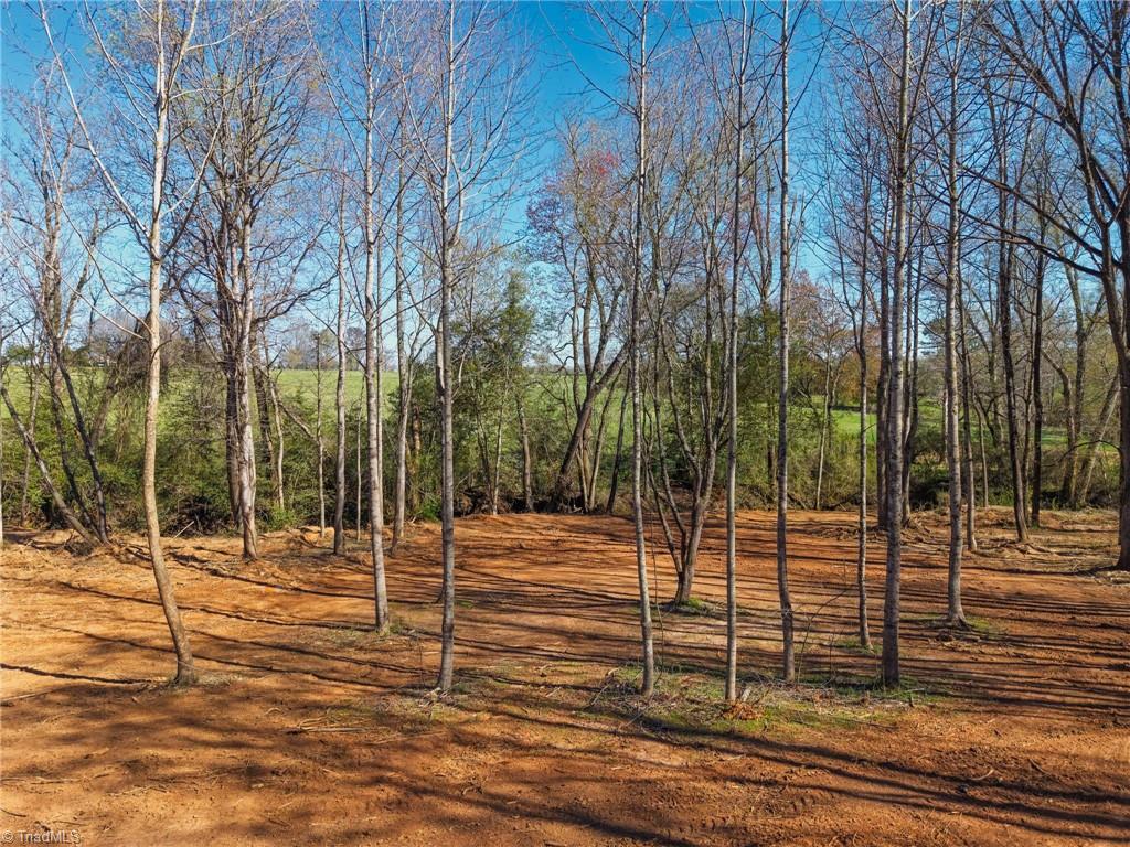 0 Sprouse Road Boonville, NC 27011 - Photo 8 of 24