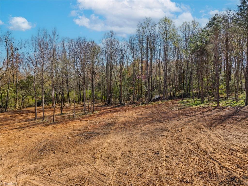 0 Sprouse Road Boonville, NC 27011 - Photo 10 of 24