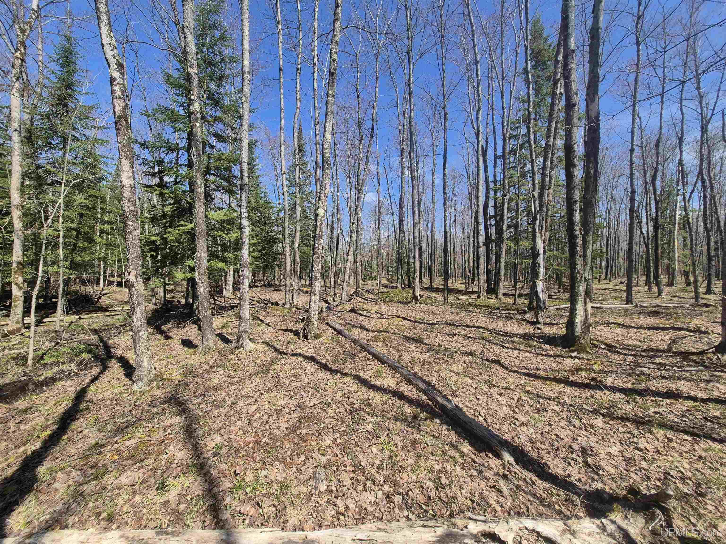 12-acres Salmon Road L'Anse, MI 49946 - Photo 29 of 39