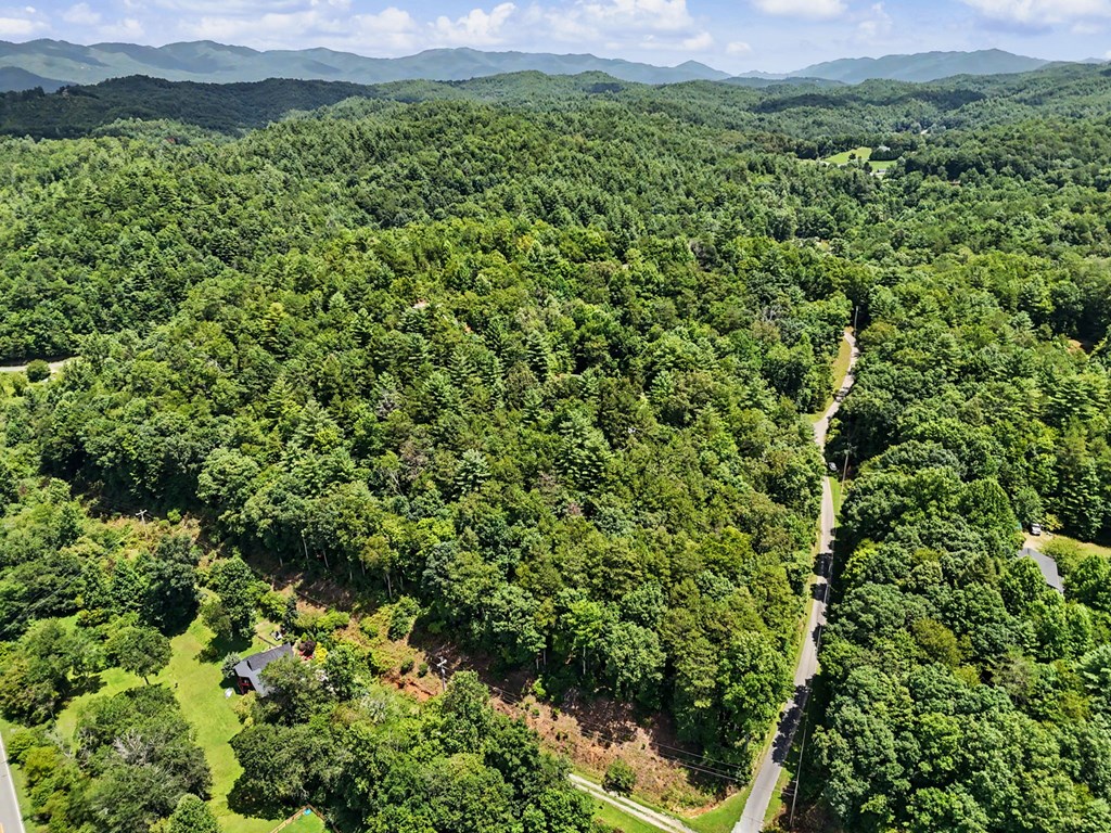 59 Hunter Rock Ridge Marble, NC 28905 - Photo 24 of 55