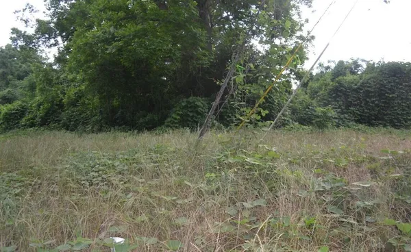 $14,900 | 10 Bradford Street, Sumter, SC 29150