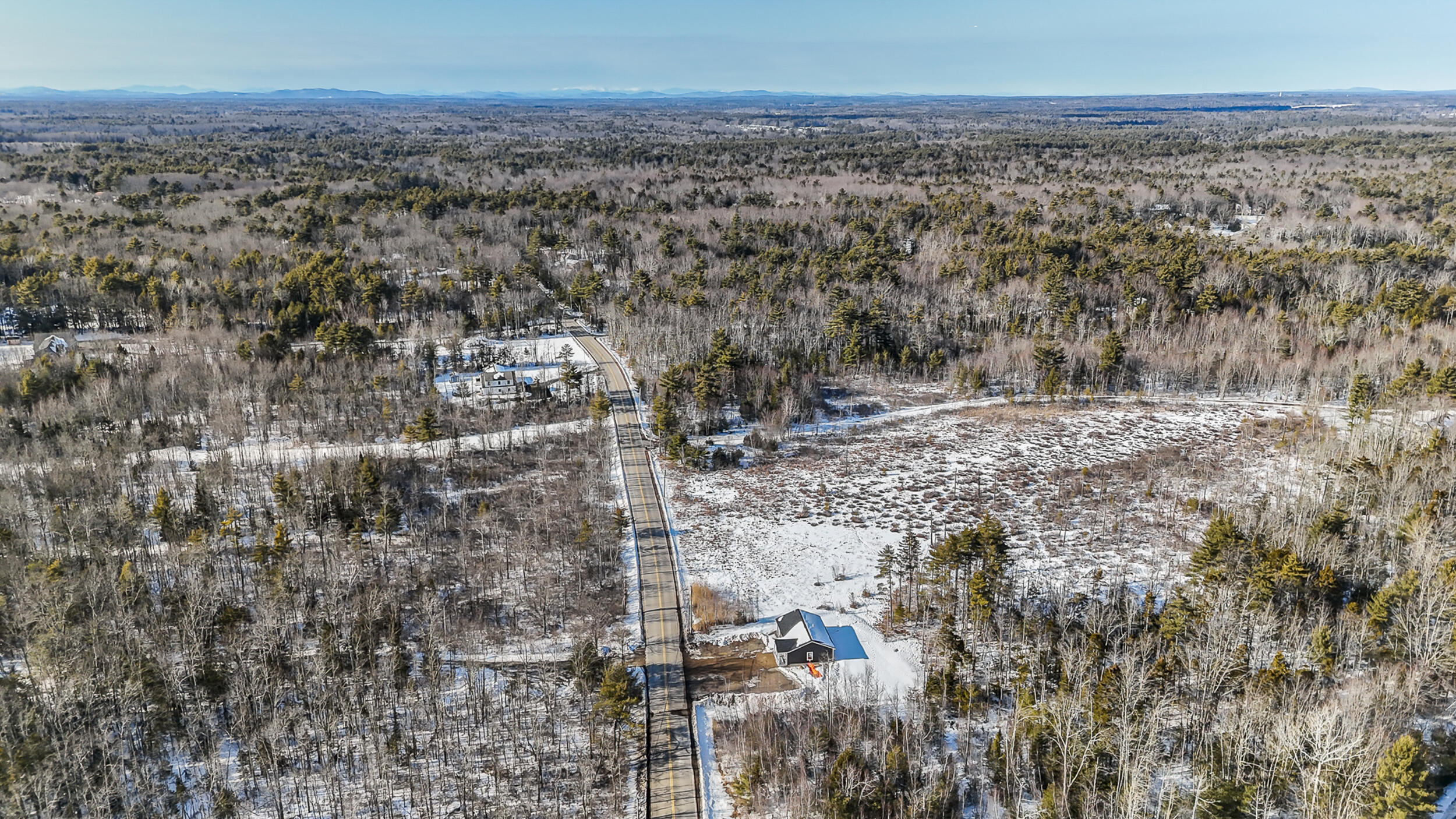 Ash Swamp 11