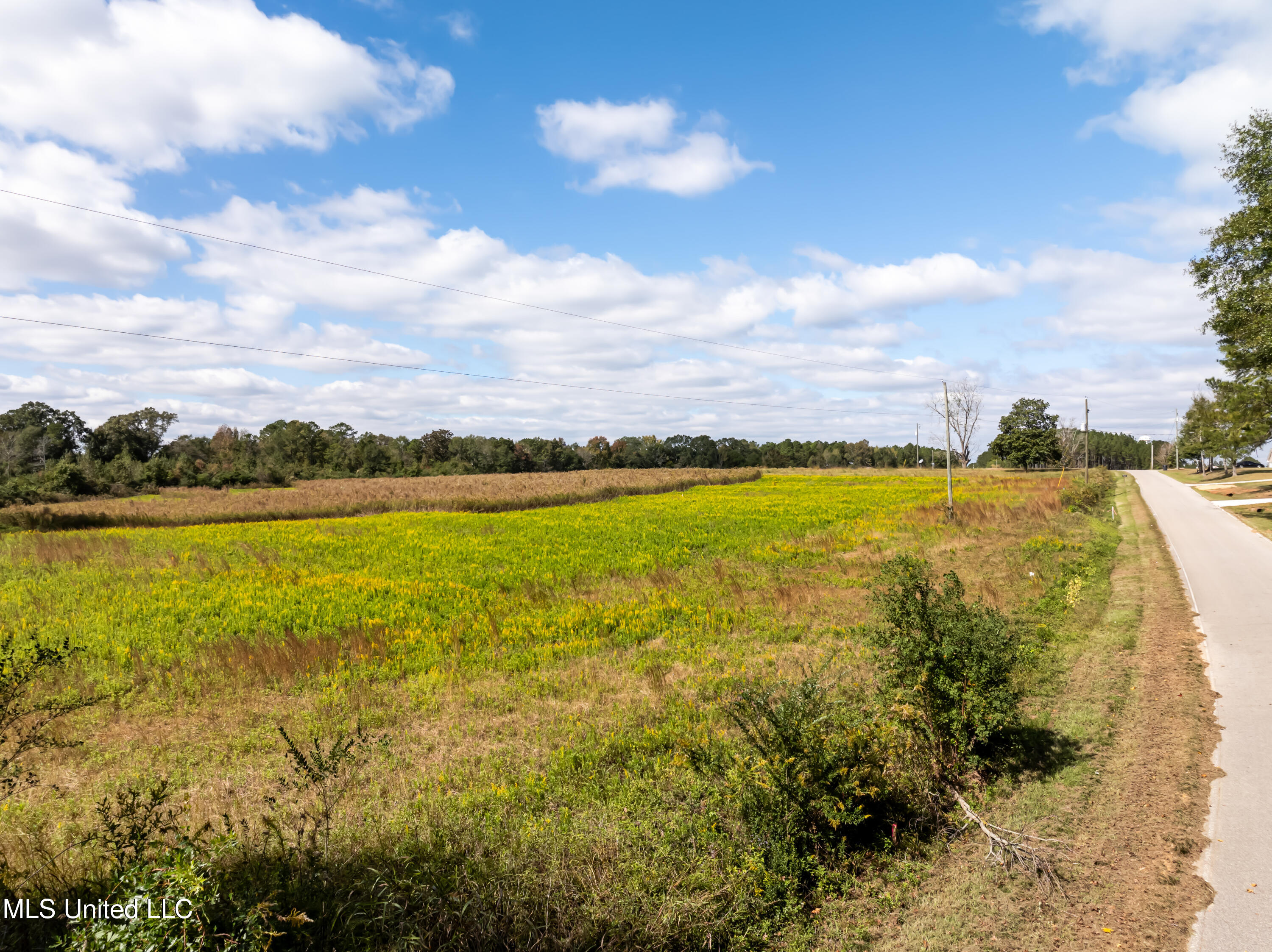 257 Higgins Road Sumrall, MS 39482 - Photo 5 of 10 Higgins Rd