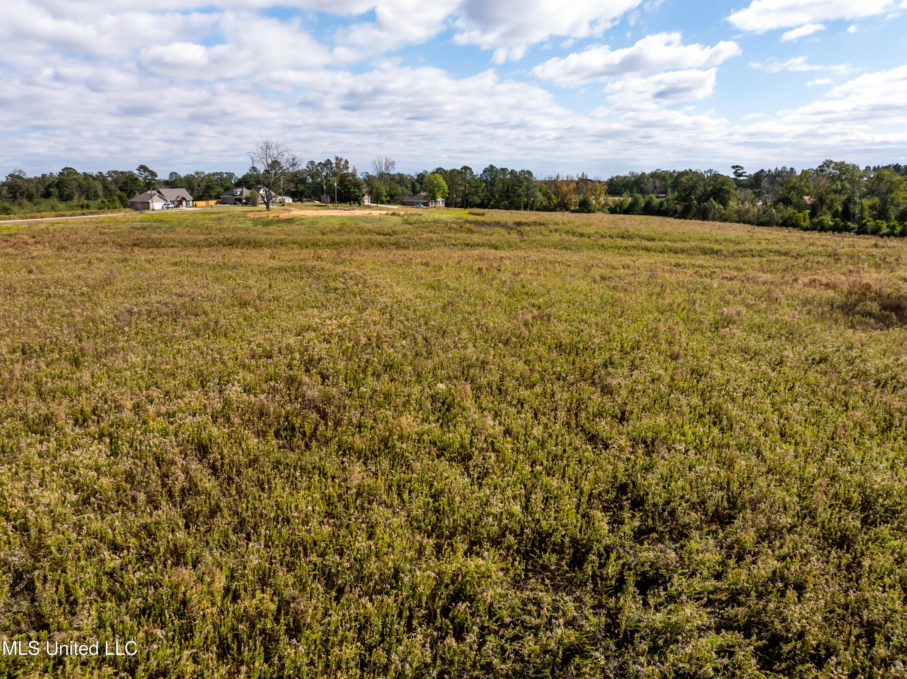 257 Higgins Road Sumrall, MS 39482 - Photo 6 of 10 Higgins Rd