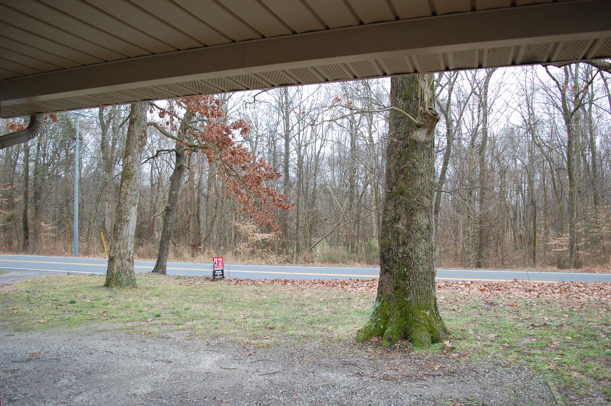 3301 Rossview Road Clarksville, TN 37043 - Photo 12 of 14 a view of outdoor space with trees