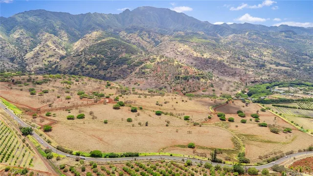 a view of a backyard of a house