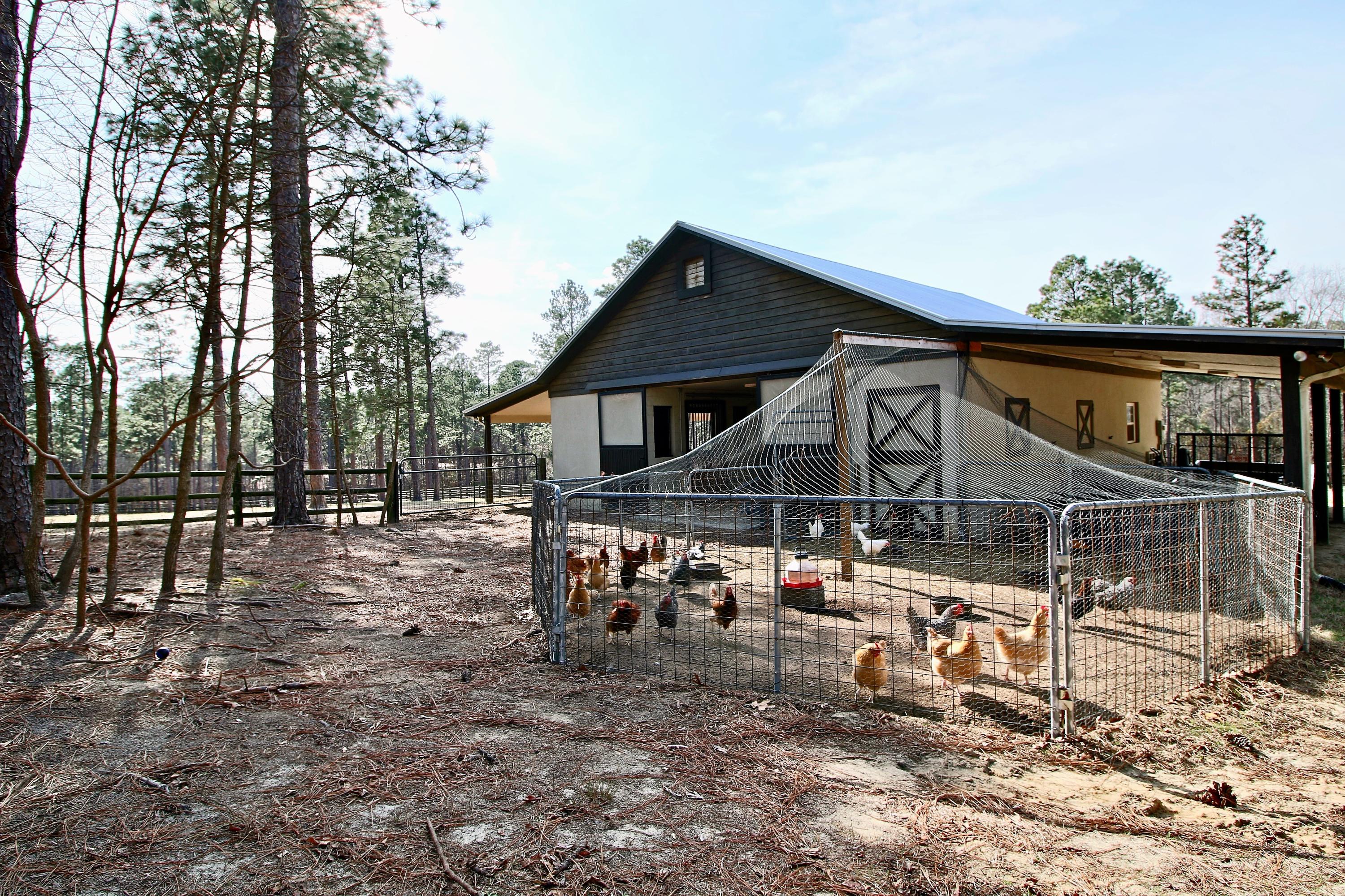 205 McDeeds Creek Road Carthage, NC 28327 - Photo 52 of 56 Chicken Space is large