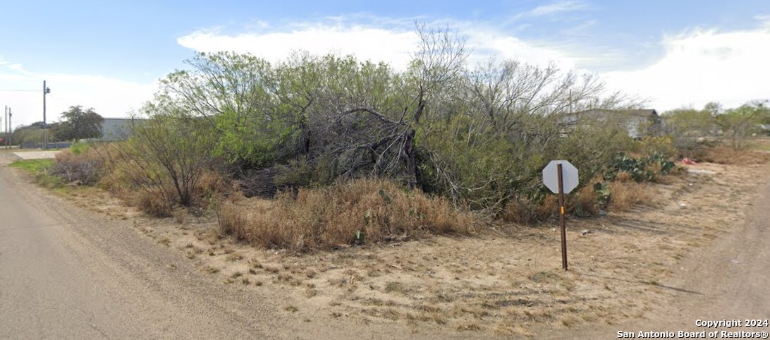 211 Hawk Street Zapata, TX 78076 - Photo 2 of 5