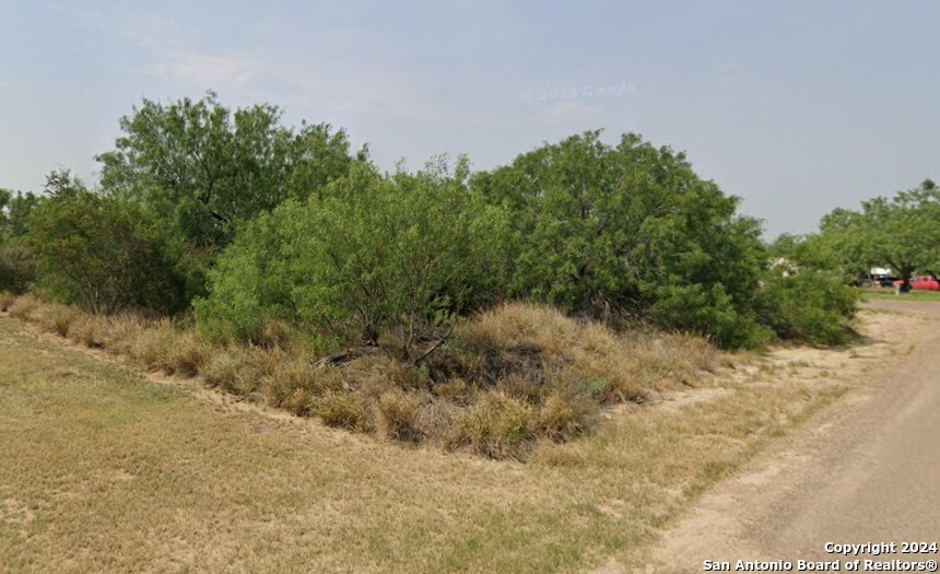 211 Hawk Street Zapata, TX 78076 - Photo 4 of 5