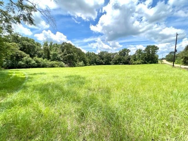 0 Ellis Griggs Road Andalusia, AL 36420 - Photo 1 of 10 Gallery Image 1