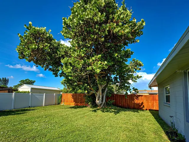 a view of a backyard with a house