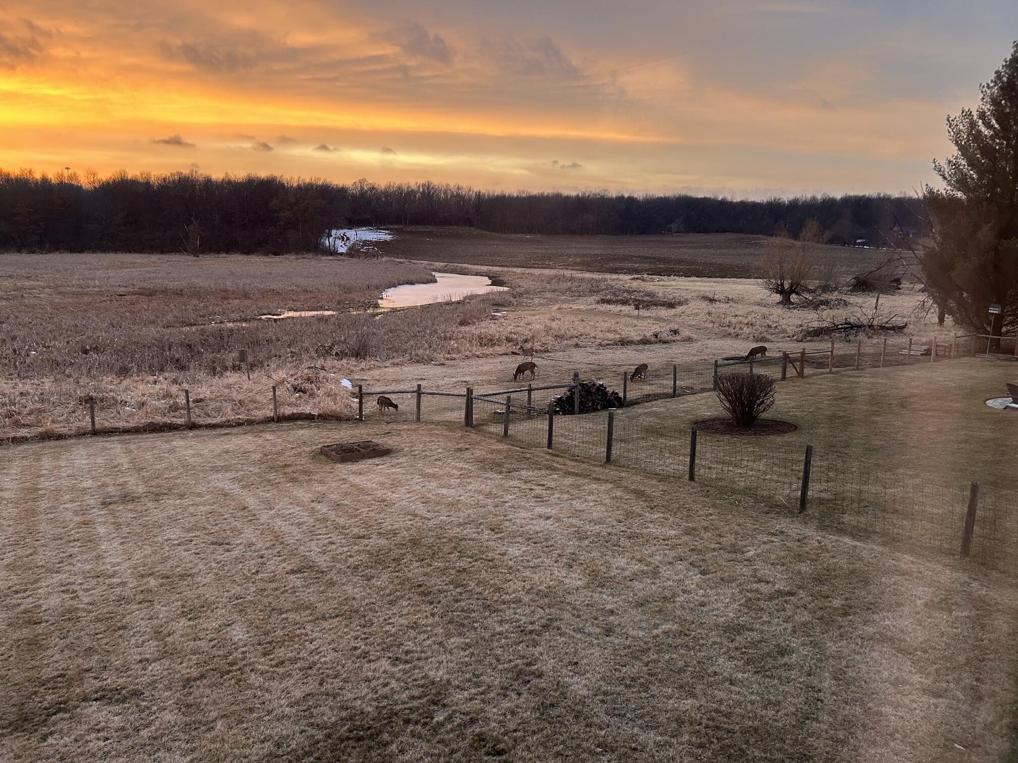W5574 Briarwood Road La Grange, WI 53121 - Photo 45 of 45 Serene