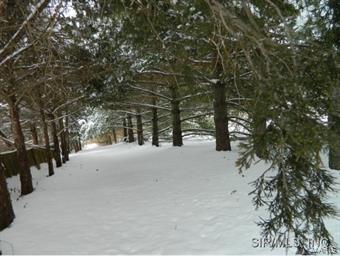 1904 Carr Road Prairie du Rocher, IL 62277 - Photo 2 of 23