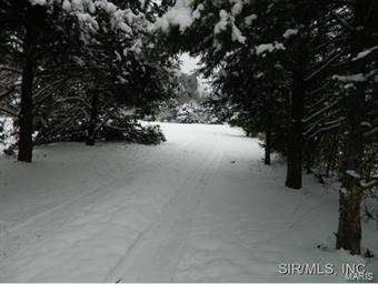 1904 Carr Road Prairie du Rocher, IL 62277 - Photo 10 of 23