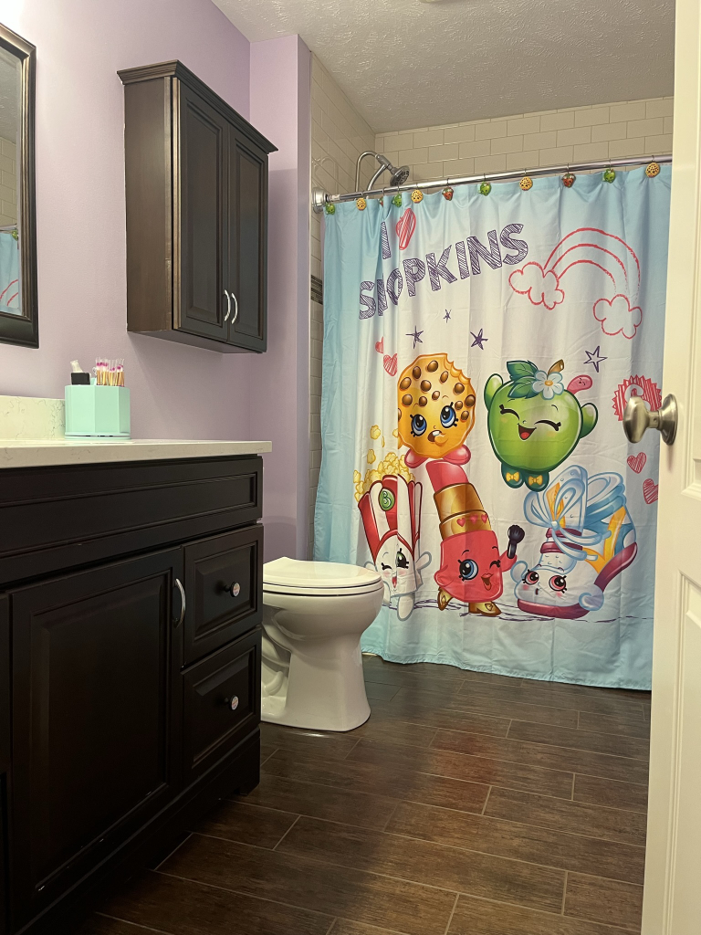 12747 Harrold Point Road Wapella, IL 61777 - Photo 27 of 48 a bathroom with a sink mirror and painting on the wall