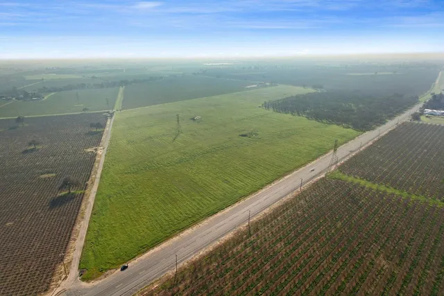 a view of a field with an ocean