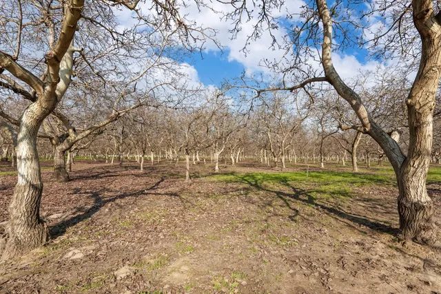 $3,150,000 | 15500 Highway 88, Lockeford, CA 95237