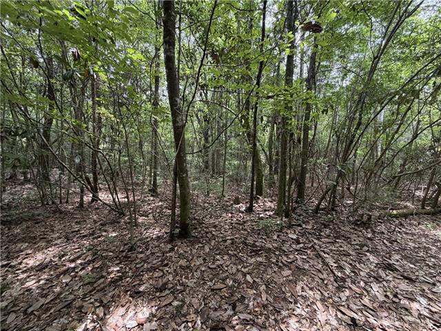 0 Thigpen Road Franklinton, LA 70438 - Photo 23 of 34