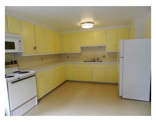 Kitchen. Bright and sunny kitchen.