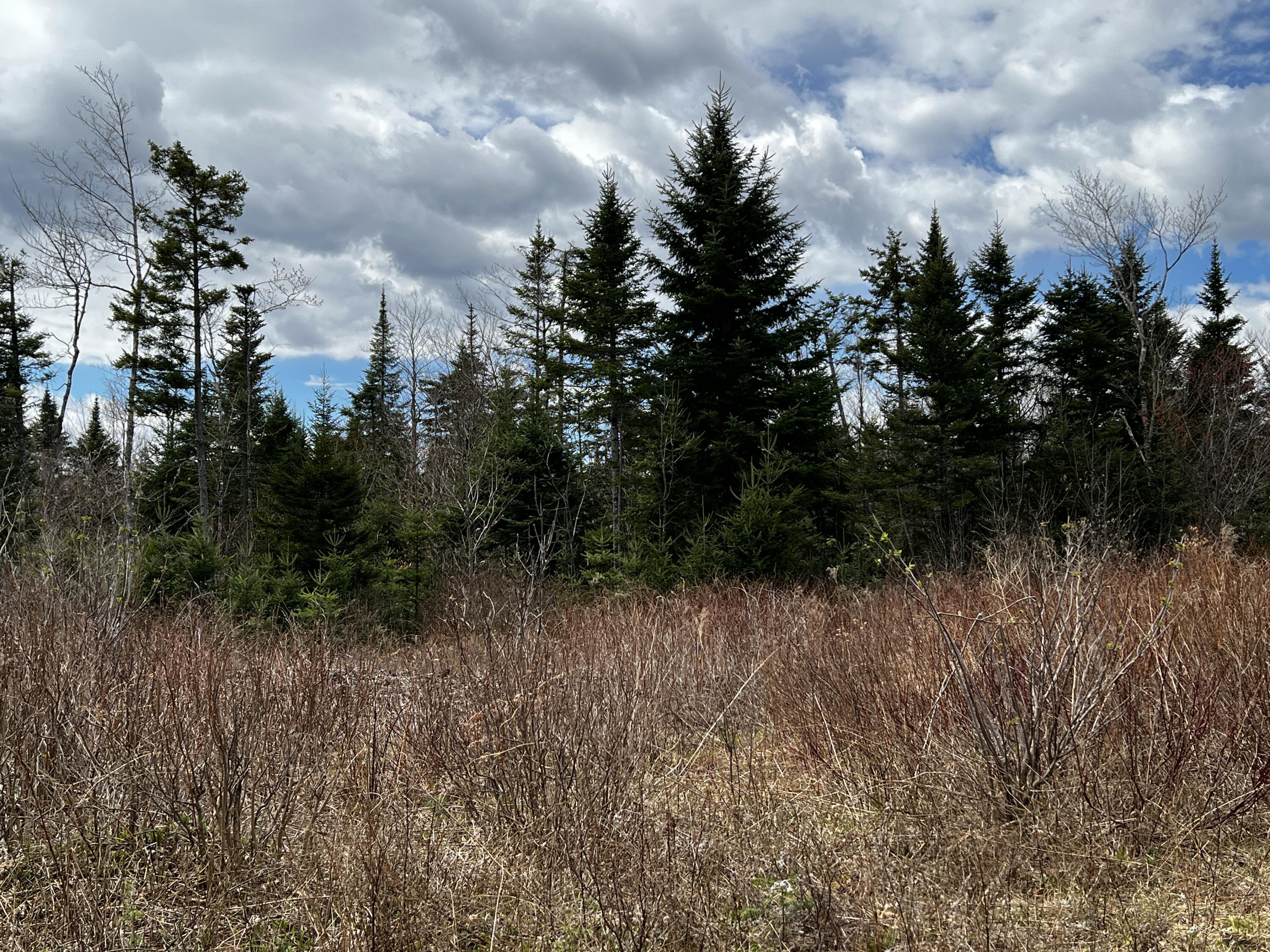 Lot 2-18 Shin Pond Rd Mount Mount Chase, ME 04765 - Photo 53 of 59