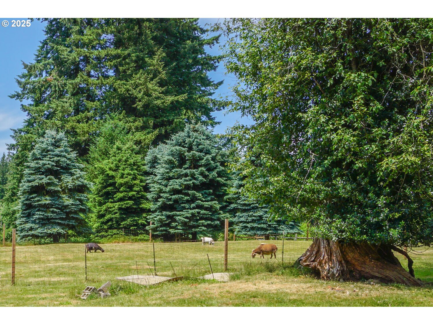 19910 Northeast 356th Street Yacolt, WA 98675 - Photo 24 of 47