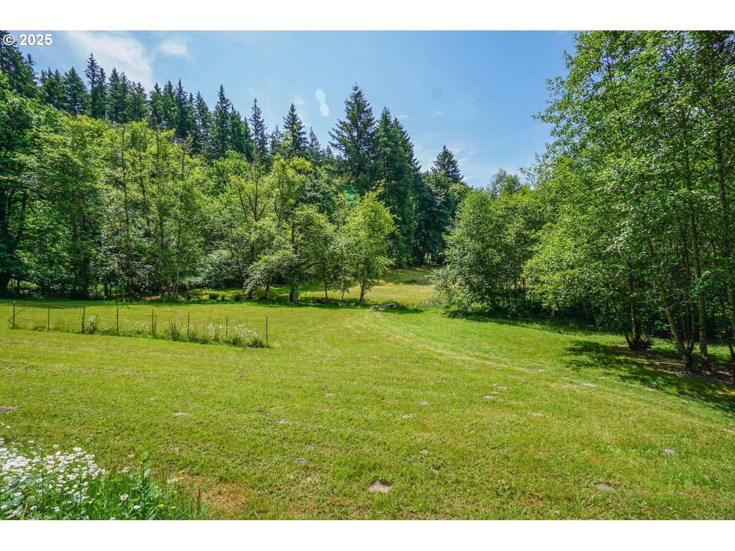 19910 Northeast 356th Street Yacolt, WA 98675 - Photo 25 of 47