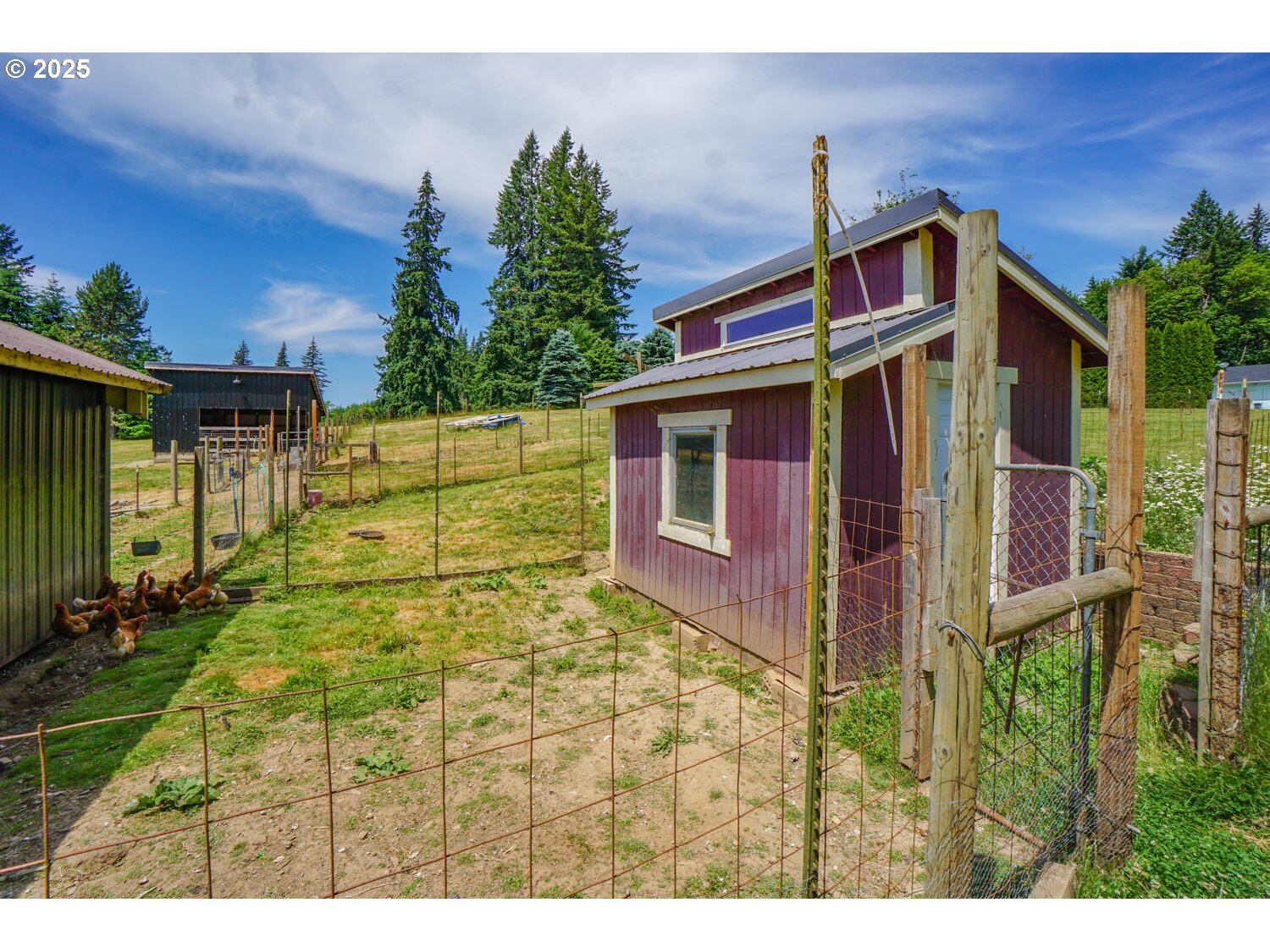 19910 Northeast 356th Street Yacolt, WA 98675 - Photo 39 of 47 Utility Shed