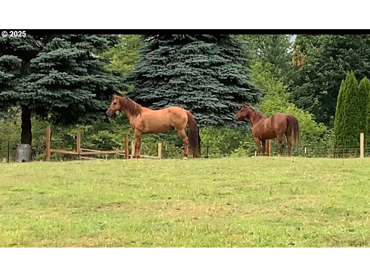 19910 Northeast 356th Street Yacolt, WA 98675 - Photo 45 of 47