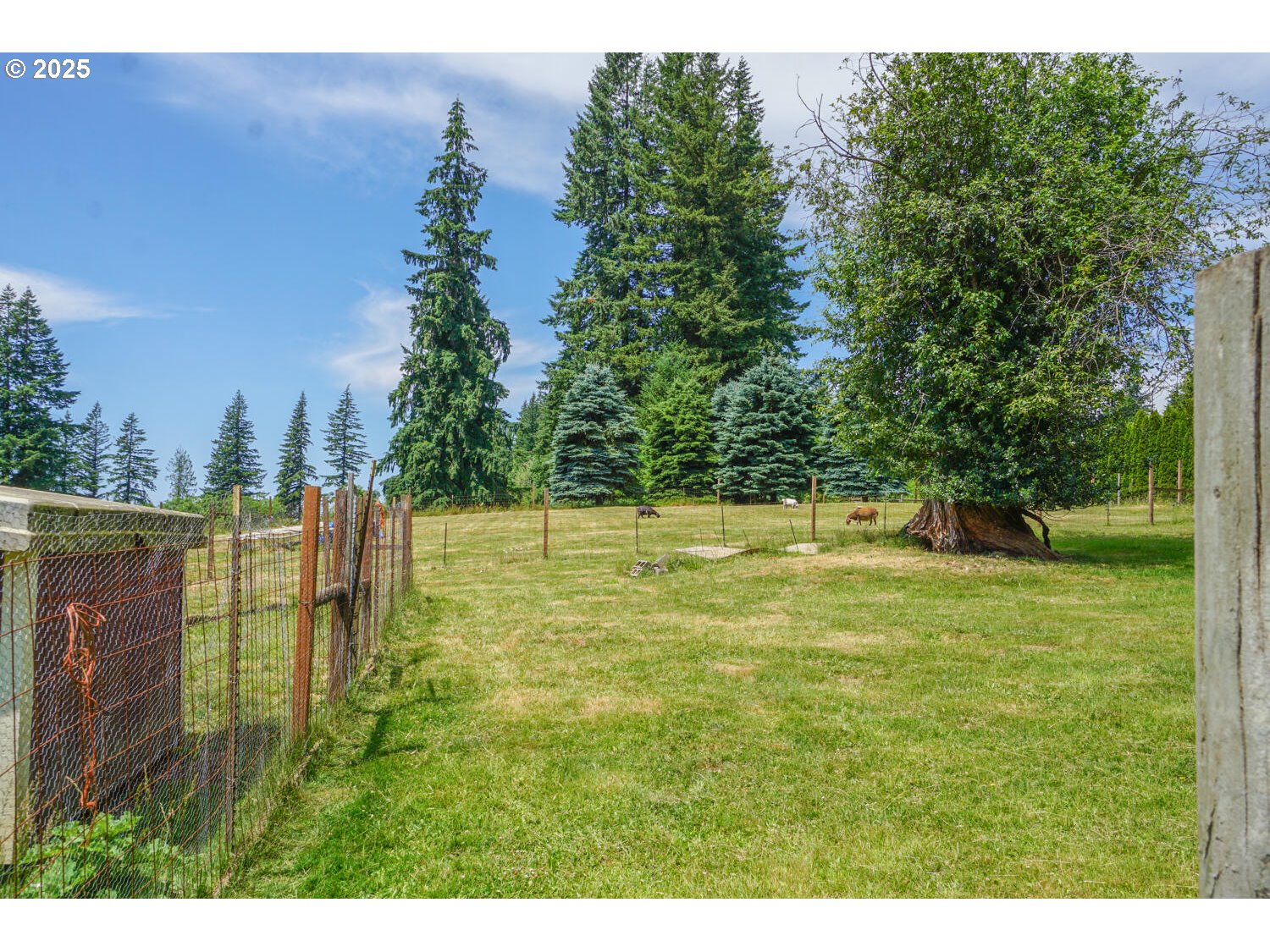 19910 Northeast 356th Street Yacolt, WA 98675 - Photo 46 of 47