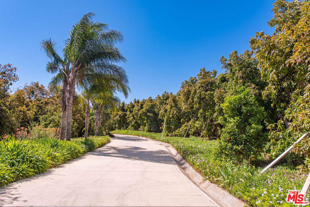 7675 Bradley Road Somis, CA 93066 - Photo 40 of 50