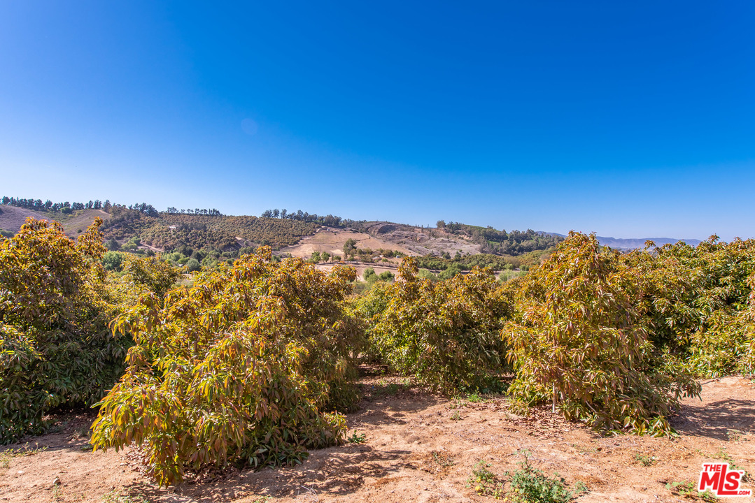 7675 Bradley Road Somis, CA 93066 - Photo 45 of 50